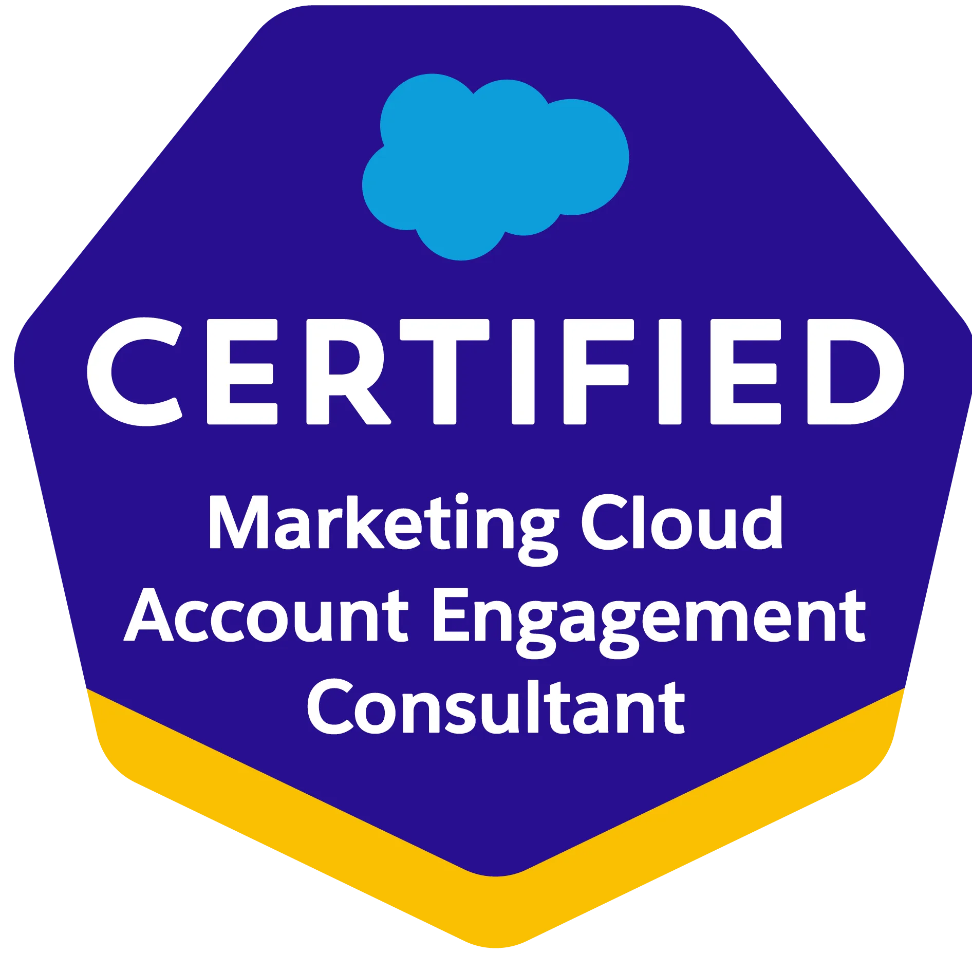 Salesforce Certified Marketing Cloud Account Engagement Consultant